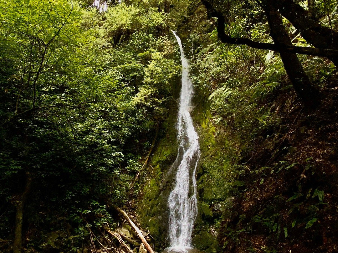 Lake Rotoroa-Murchison必去景点