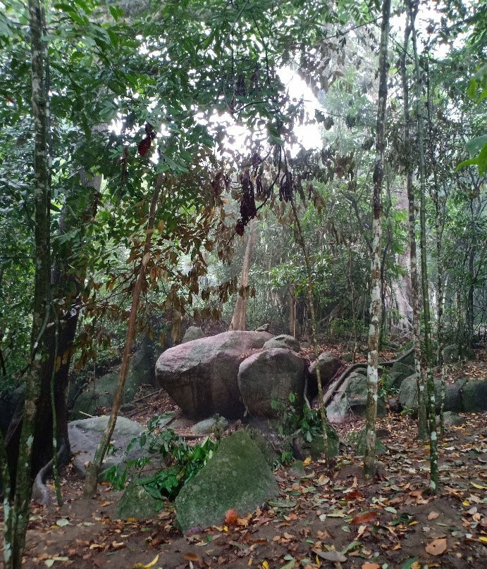 Bukit Mor-Parit Jawa必去景点