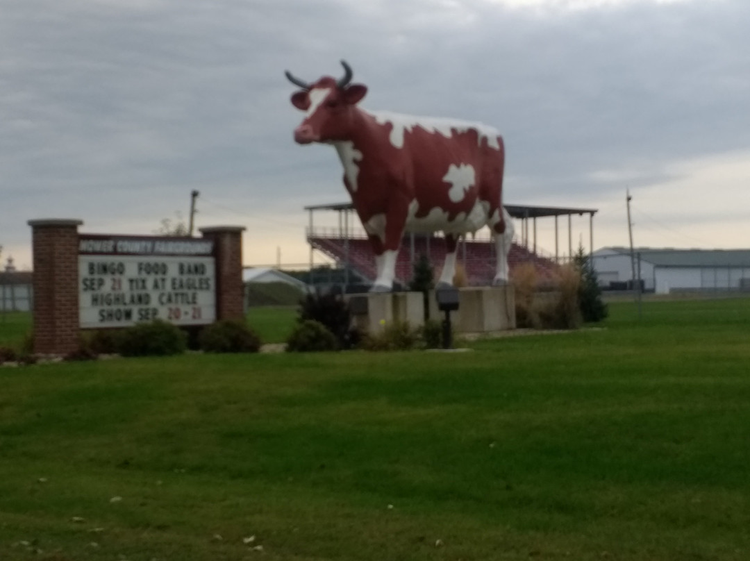 Buffy The Cow景点图片