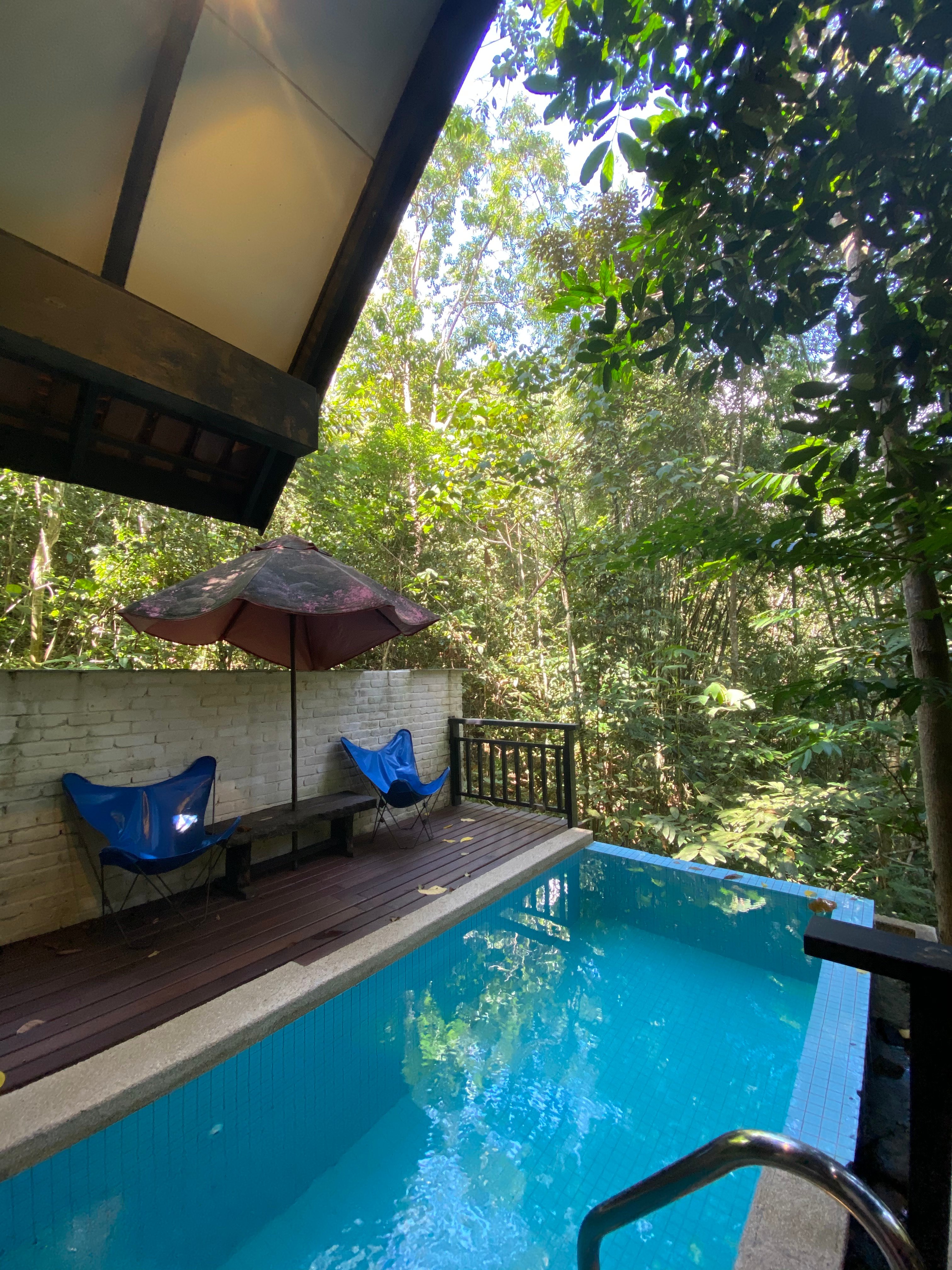 Danau Daun Chalets-泳池