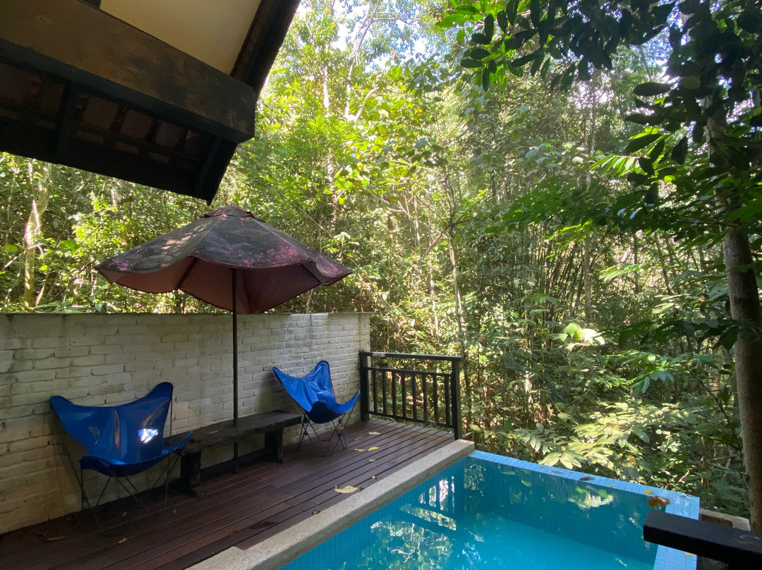 Danau Daun Chalets主图