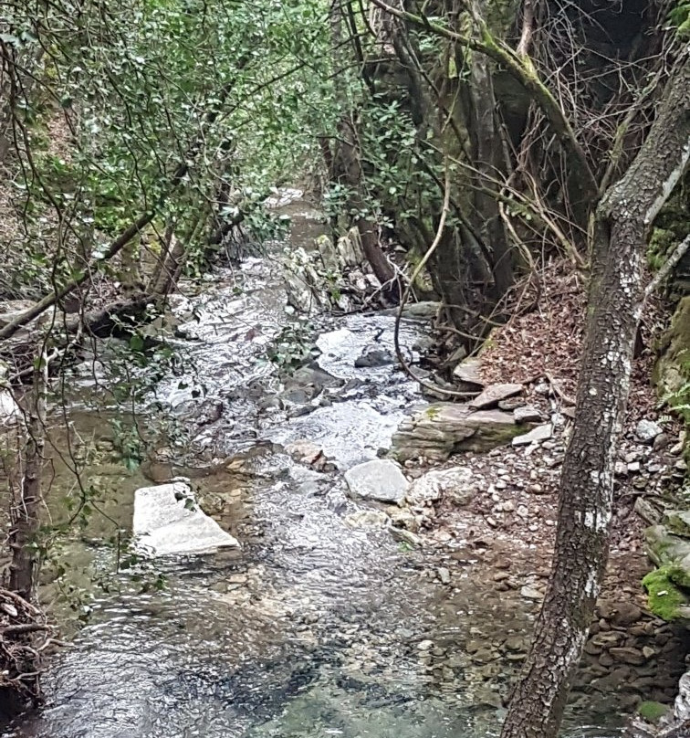 Foresta di Montarbu-Seui必去景点