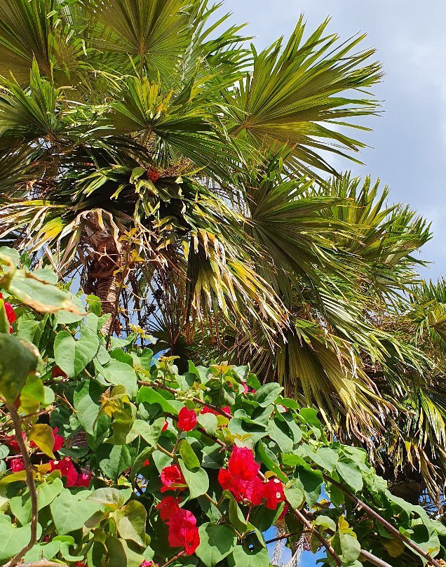 Pousada Aconchego主图