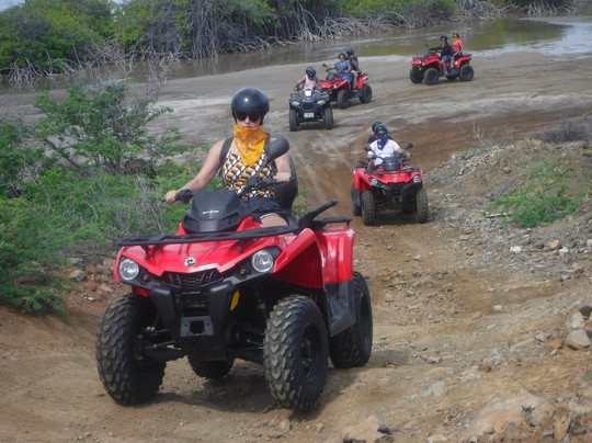 Eric's ATV Adventures-威廉斯塔德必去景点