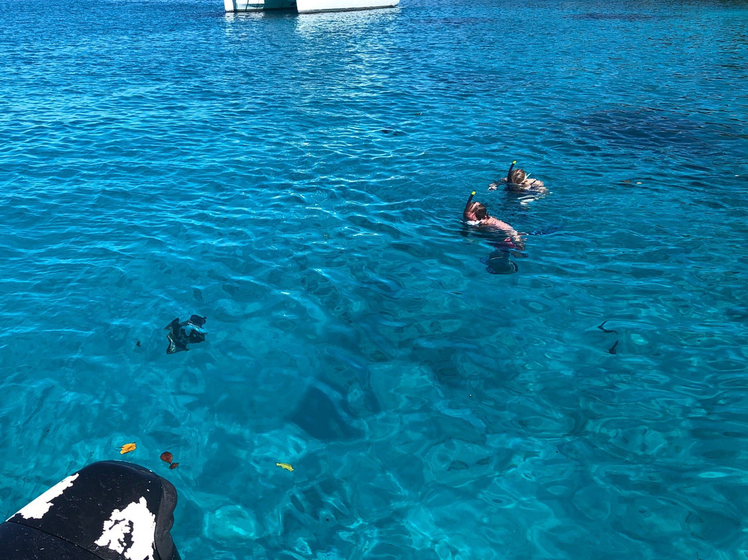 One Love Boat Charter Seychelles景点图片