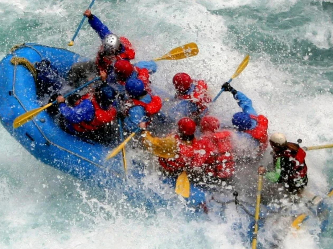 New Wave Advenutres-Denali Park必去景点