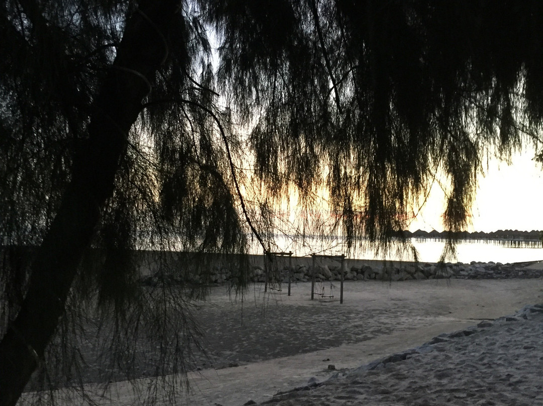 Bagan Lalang Beach-双溪比力必去景点