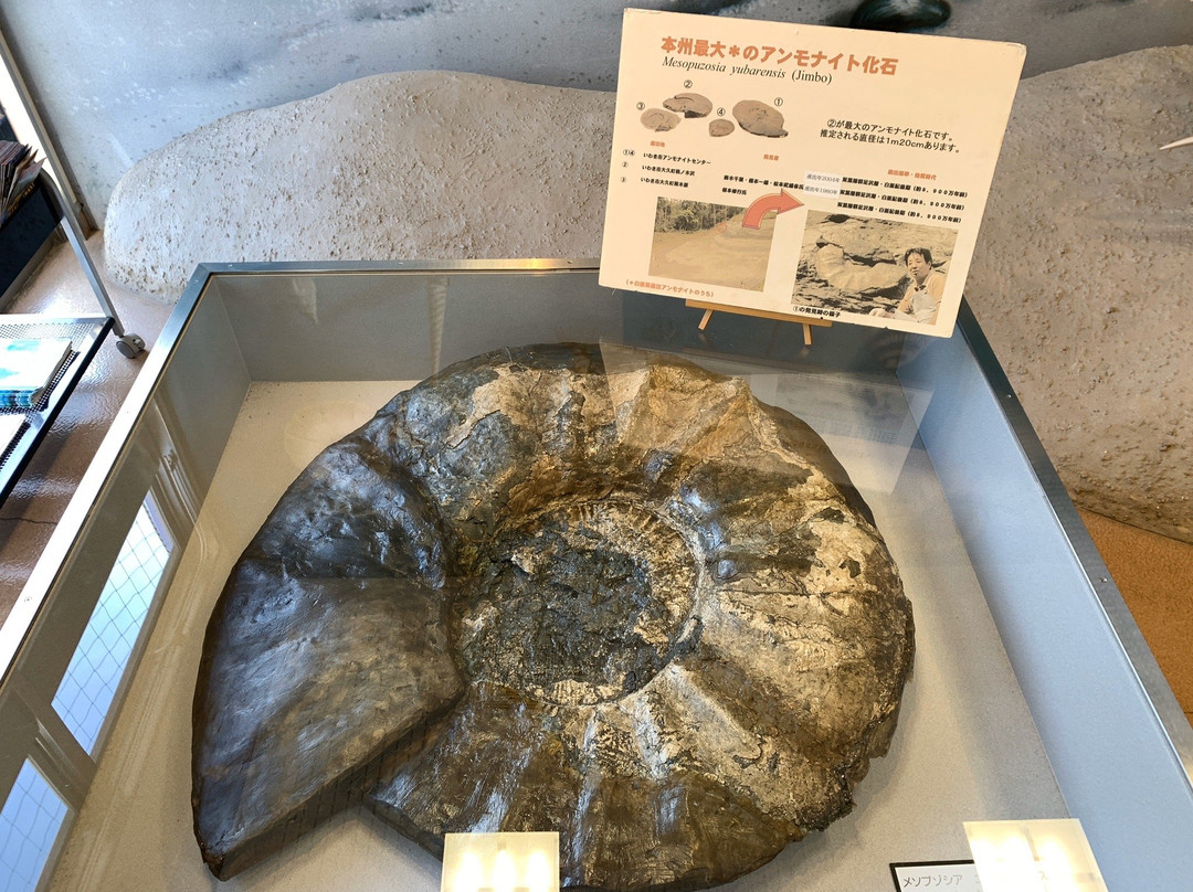 Iwaki City Ammonite Center-盘城市必去景点