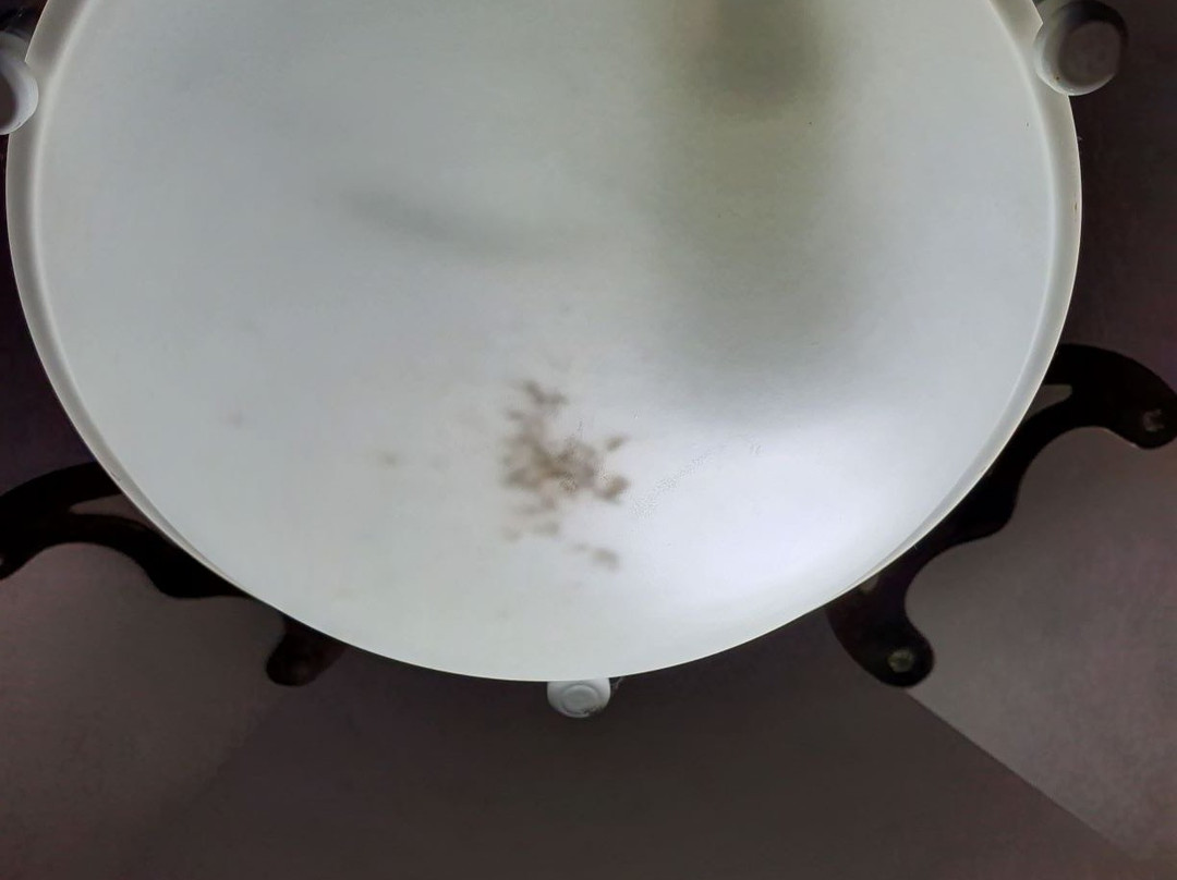 Gran Hotel Avenida主图