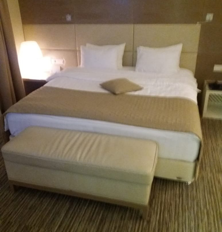 Park Hotel Sova主图