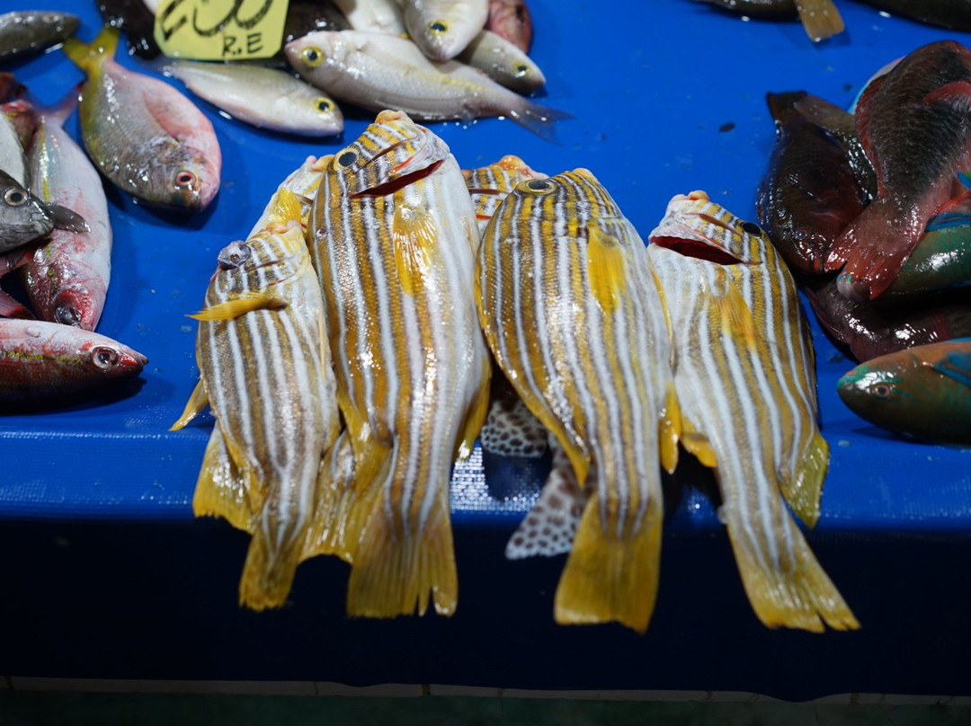 Taboan Public Market-宿雾市必去景点