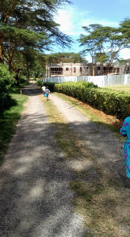 Burch's Resort Naivasha主图