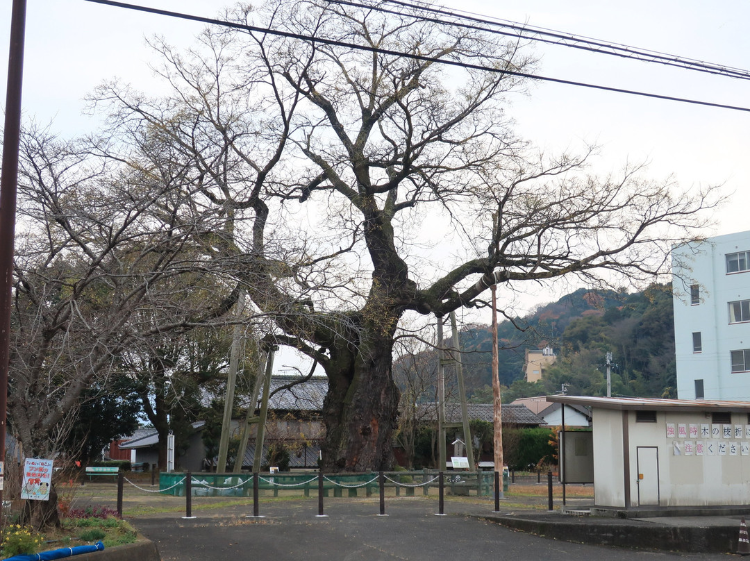 Daisendan of Kotohira Town景点图片