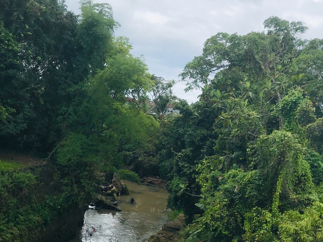 Bali Fat Bike Cycling-达巴南必去景点