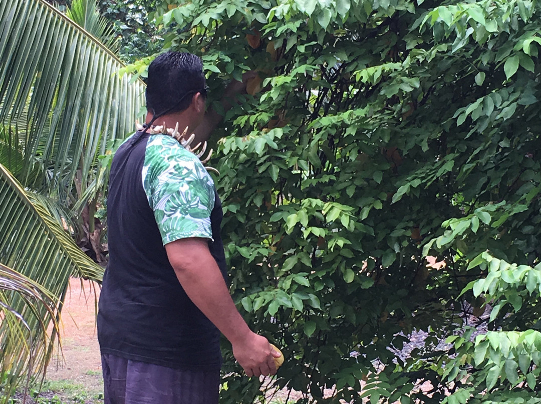 Les tiki de Puamau-Puama'u必去景点