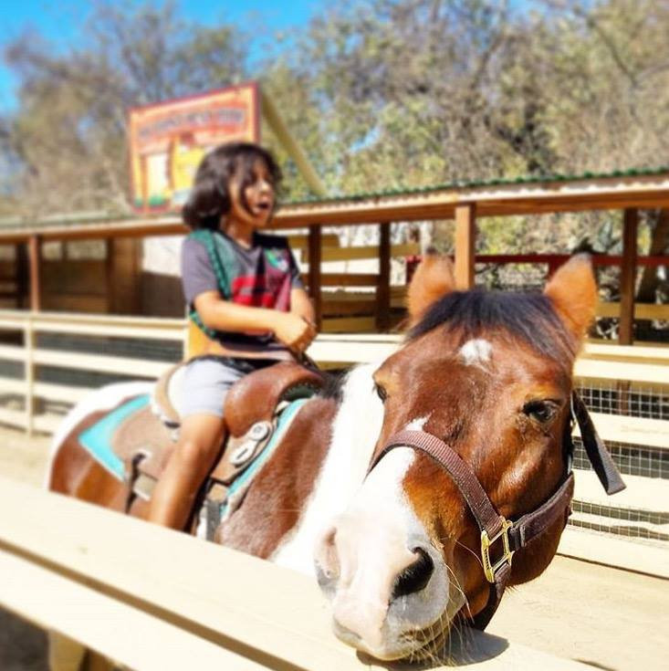 Zoomars at River Street Ranch-San Juan Capistrano必去景点