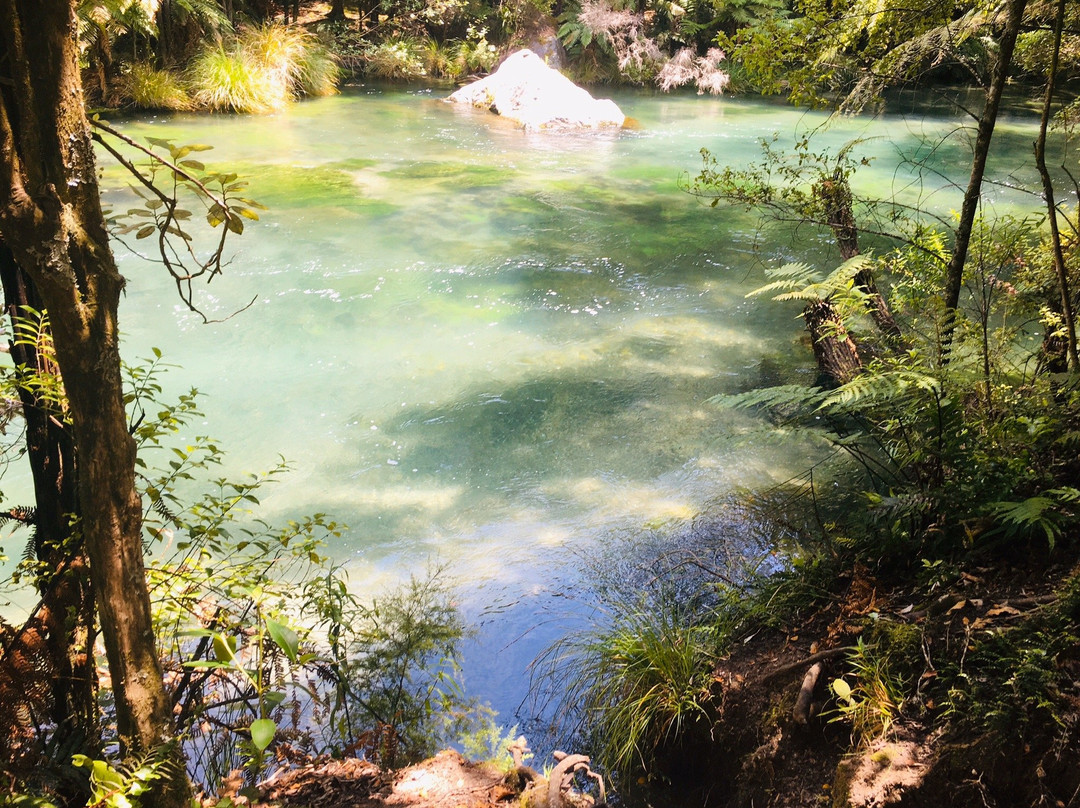 Tarawera Falls景点图片