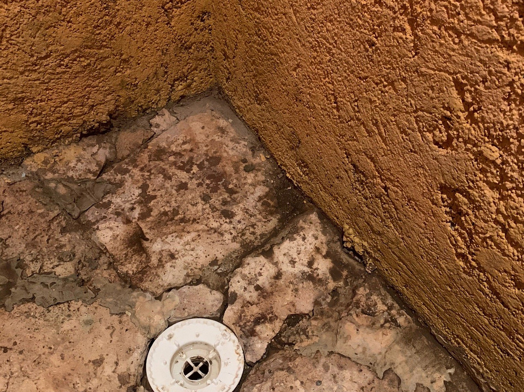 Finca La Caprichozza主图