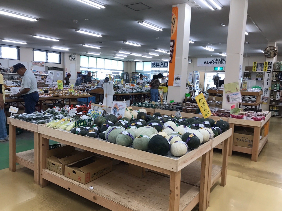 Michi no Eki Minano-皆野町必去景点