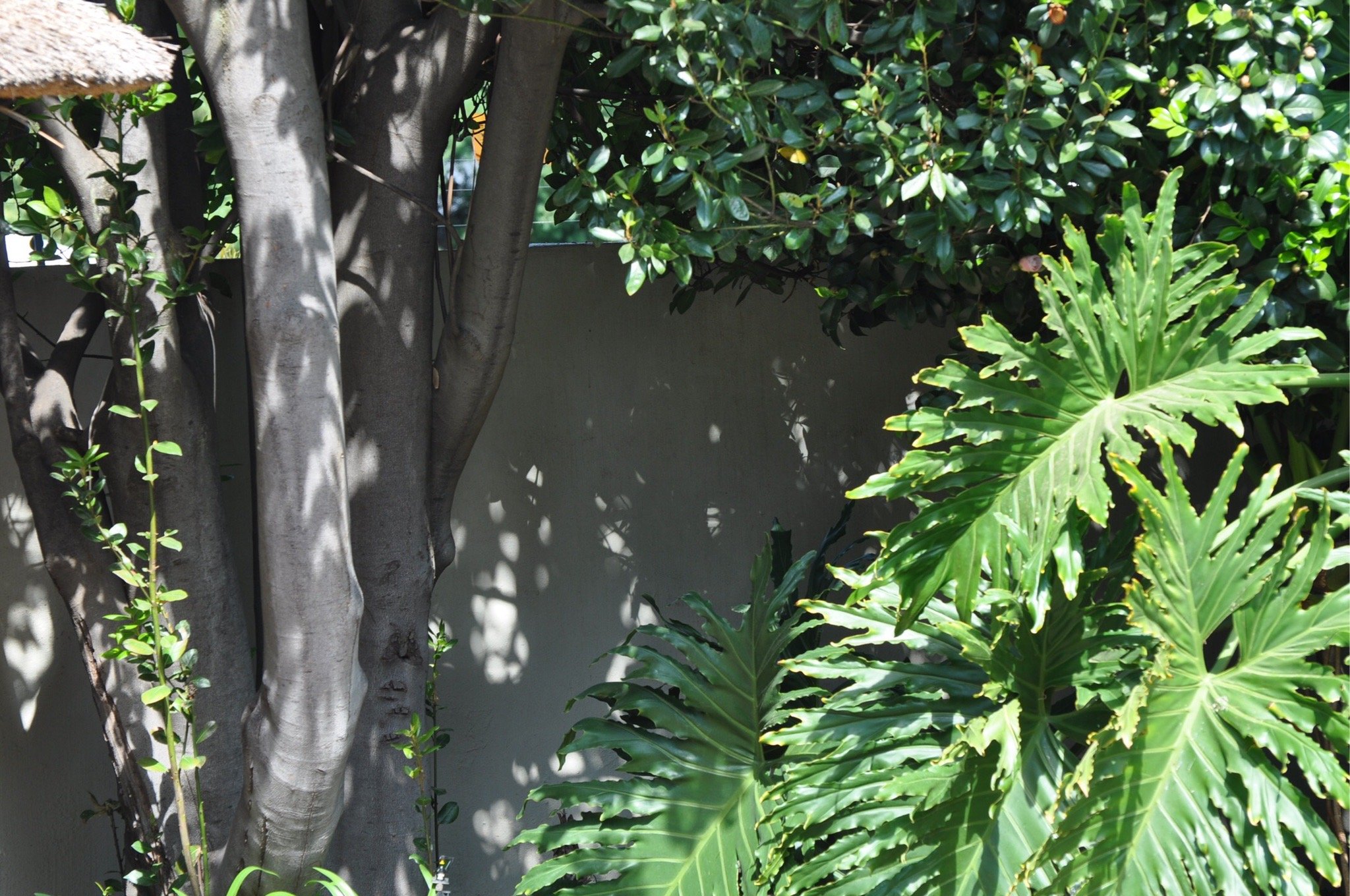 Liz at Lancaster Guesthouse-官方