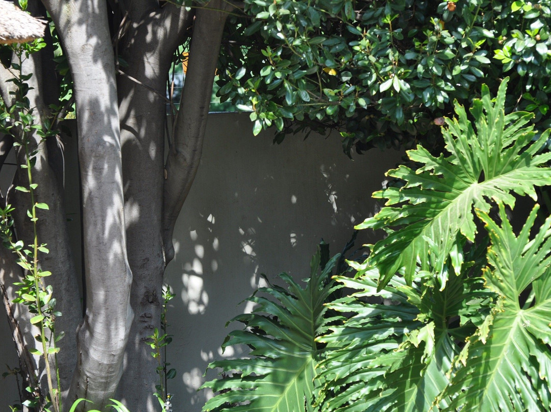 Liz at Lancaster Guesthouse主图