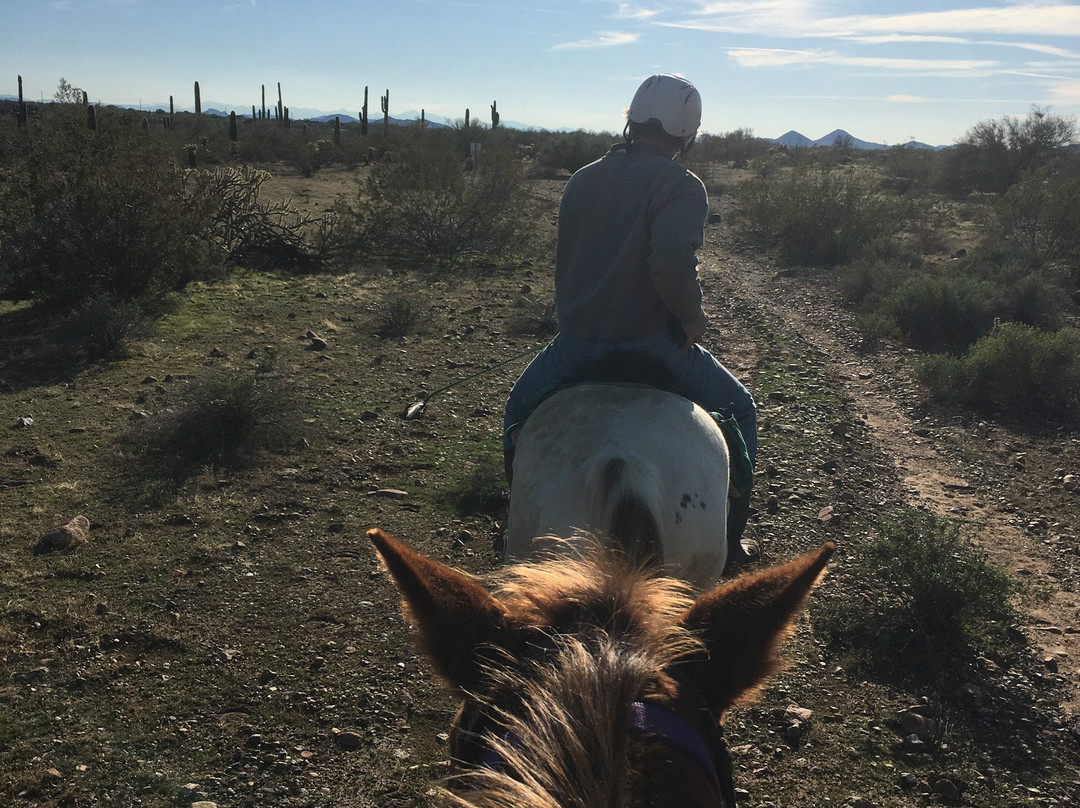 Trailhead Ranch-洞溪必去景点