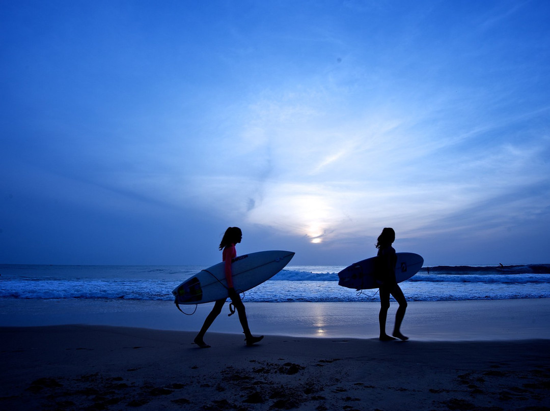 Tamarindo Surf Academy景点图片