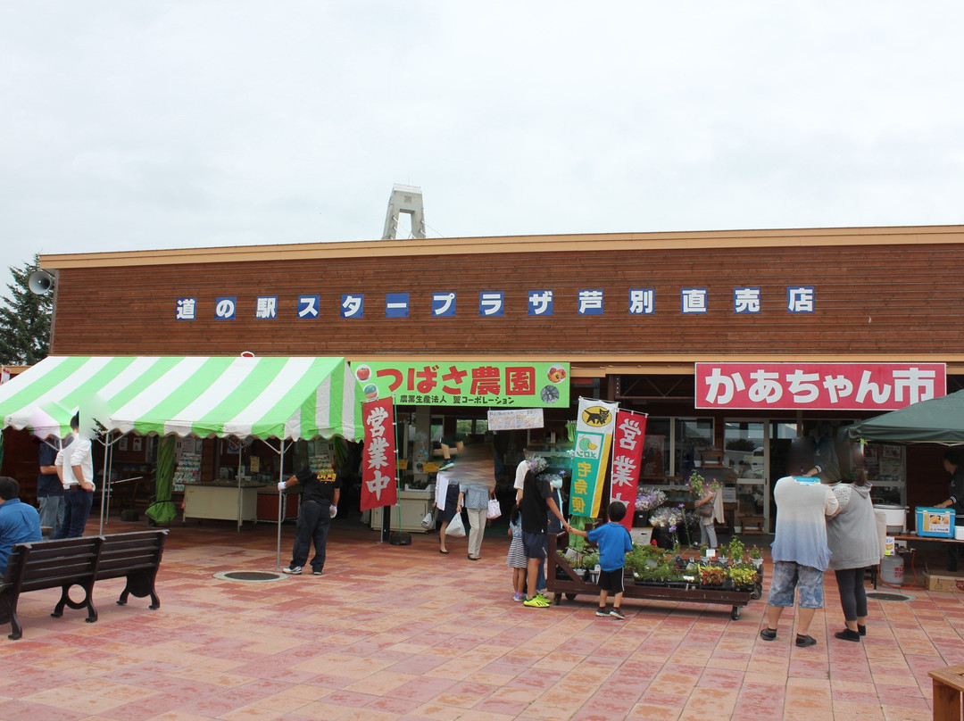 Road Station Star Plaza Ashibetsu-芦别市必去景点