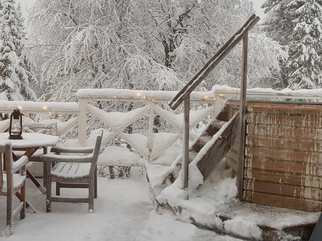 Lövåsgårdens Fjällhotell主图