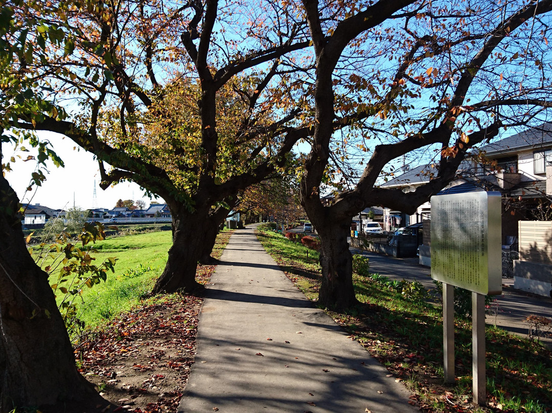 Motoarakawa Riverbank景点图片