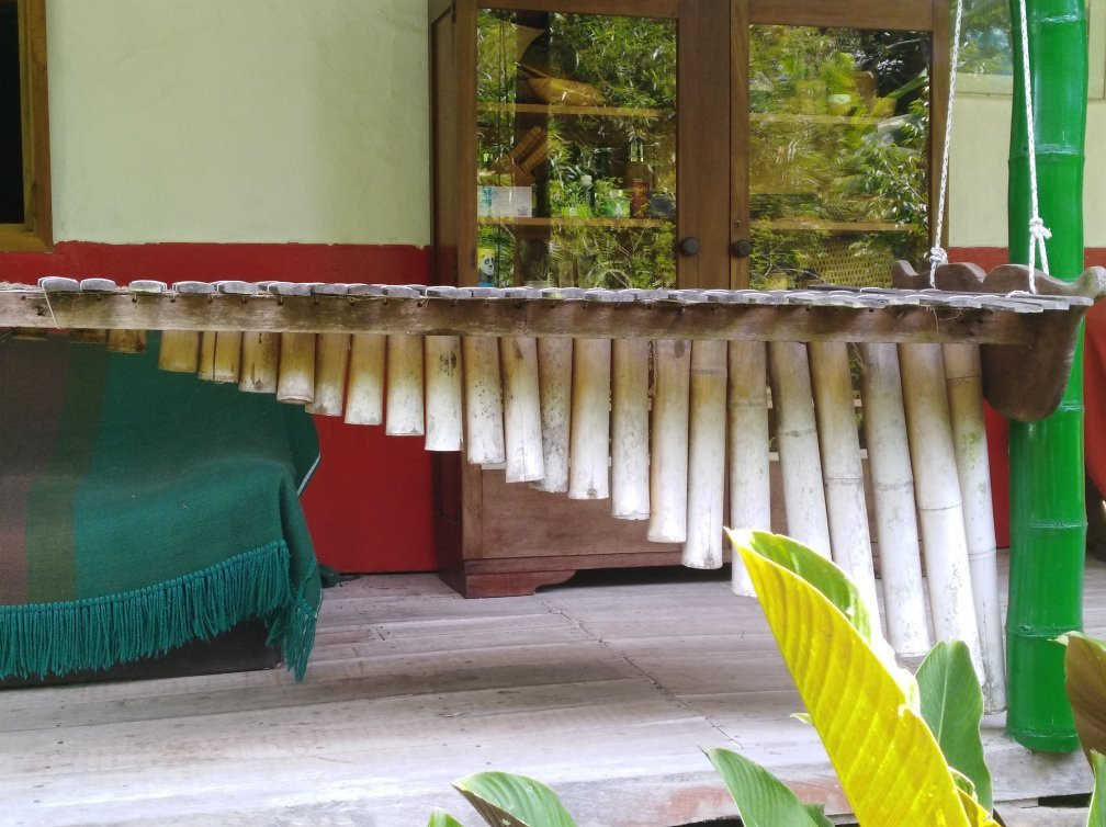 El Paraiso del Bambu y La Guadua-Montenegro必去景点