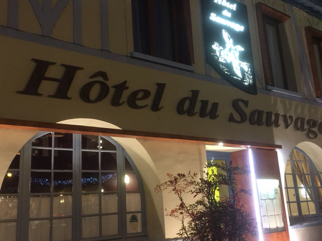 Logis Hôtel du Sauvage主图