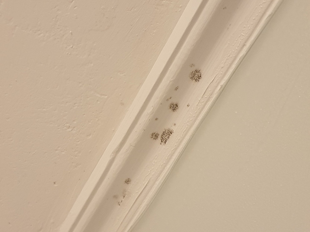 莎士比亚酒店主图