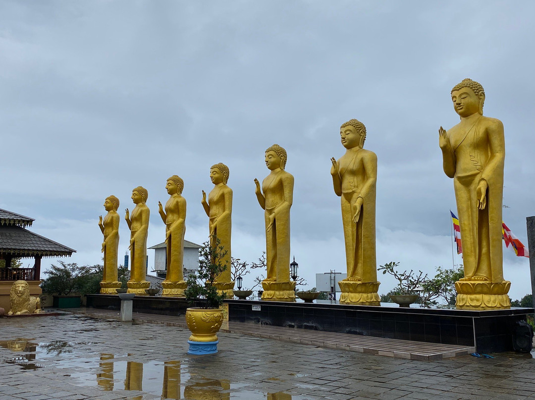 Tour with Rasad-瓦勒迦玛必去景点