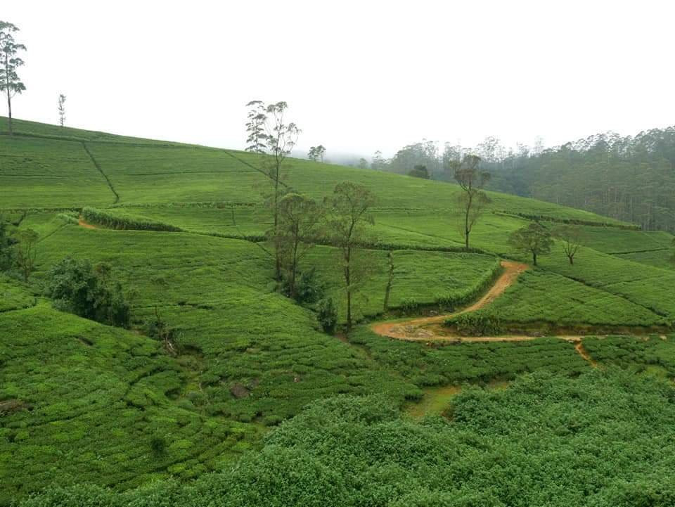 Travelling in Sri lanka-康提必去景点