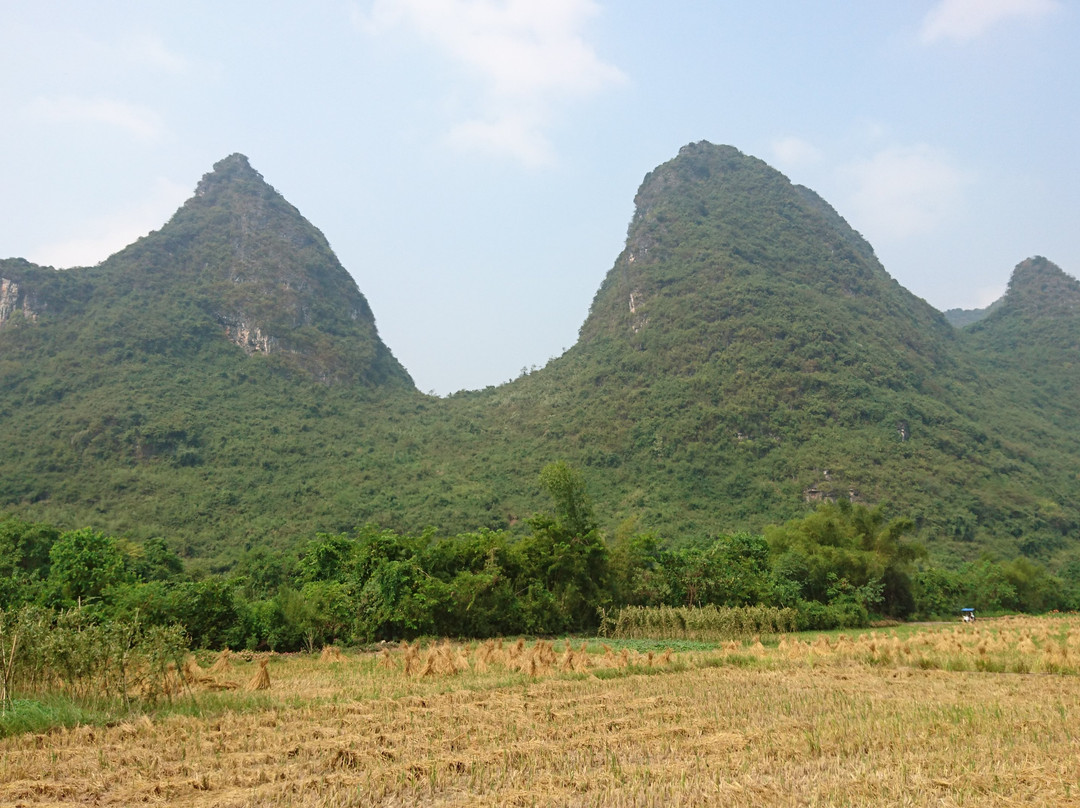 阳朔古迹山水园景点图片