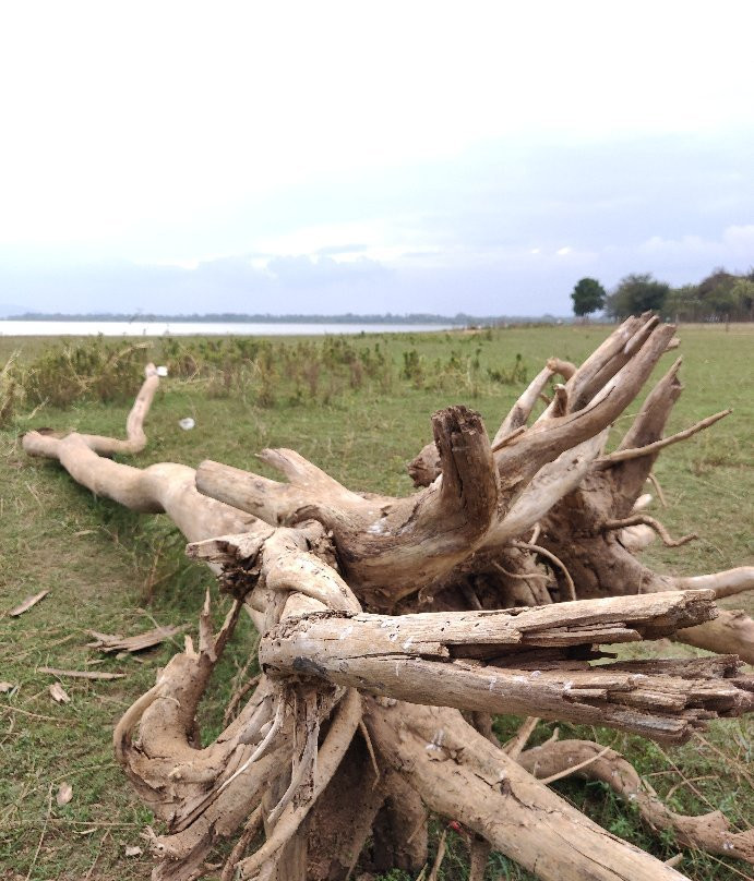 Kabini River-卡尔贝塔必去景点