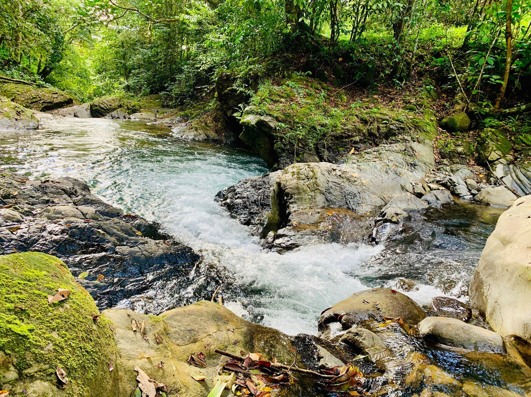 Cascada El Pavon景点图片