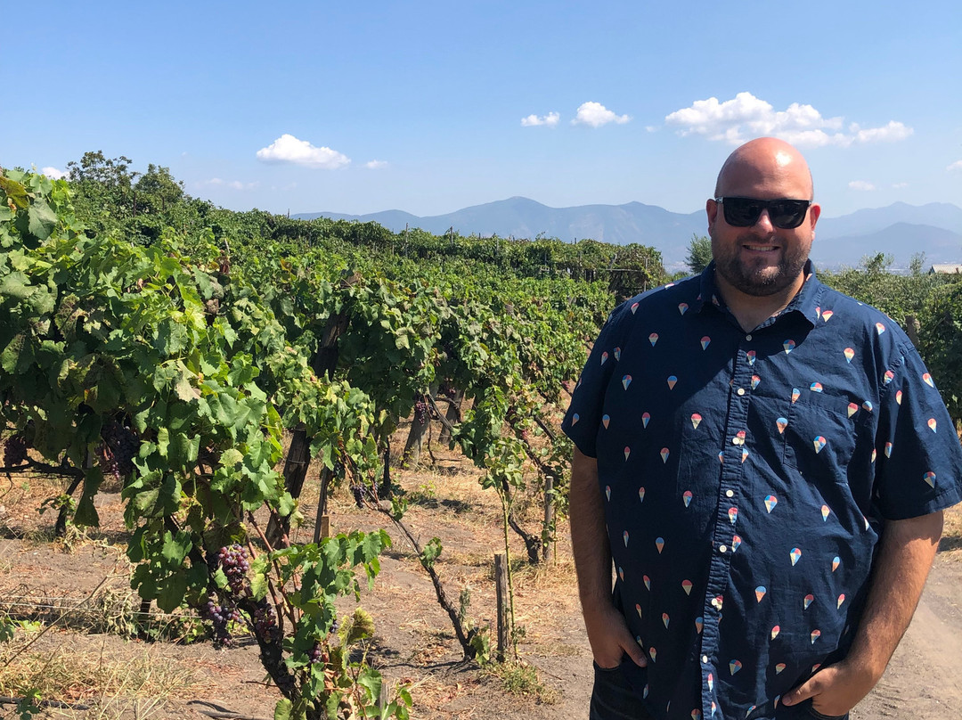 Sorrentours Tours-索伦托必去景点