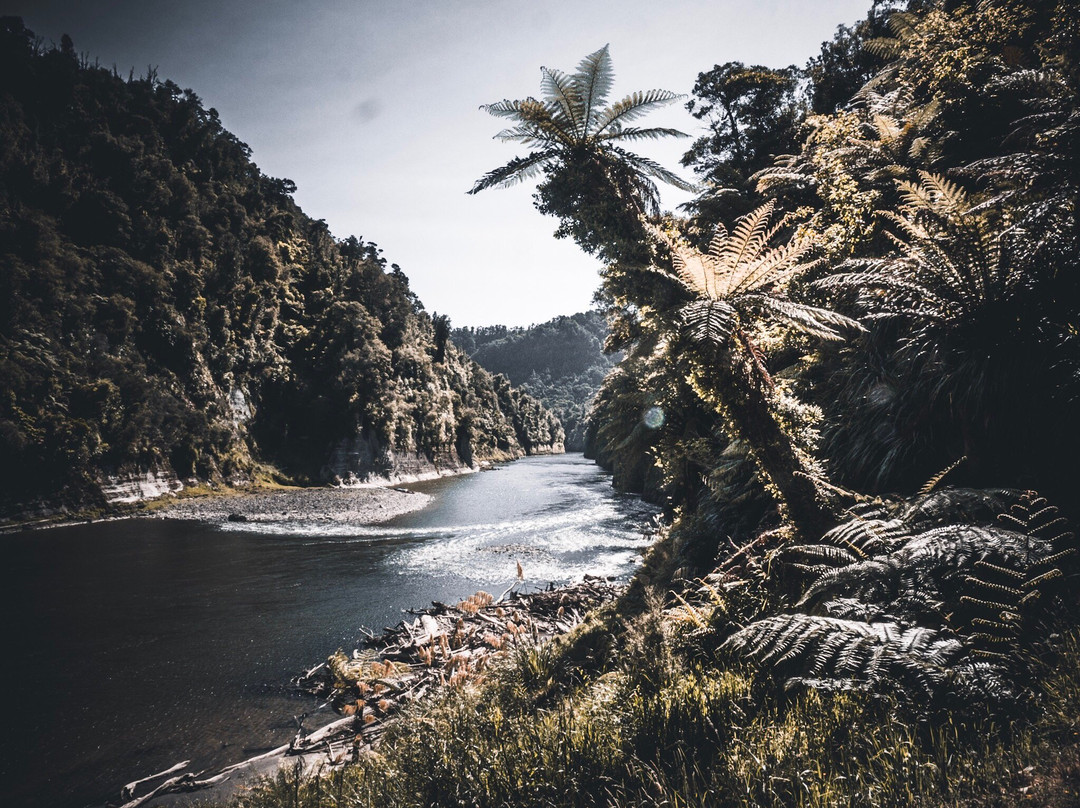 Whanganui River景点图片