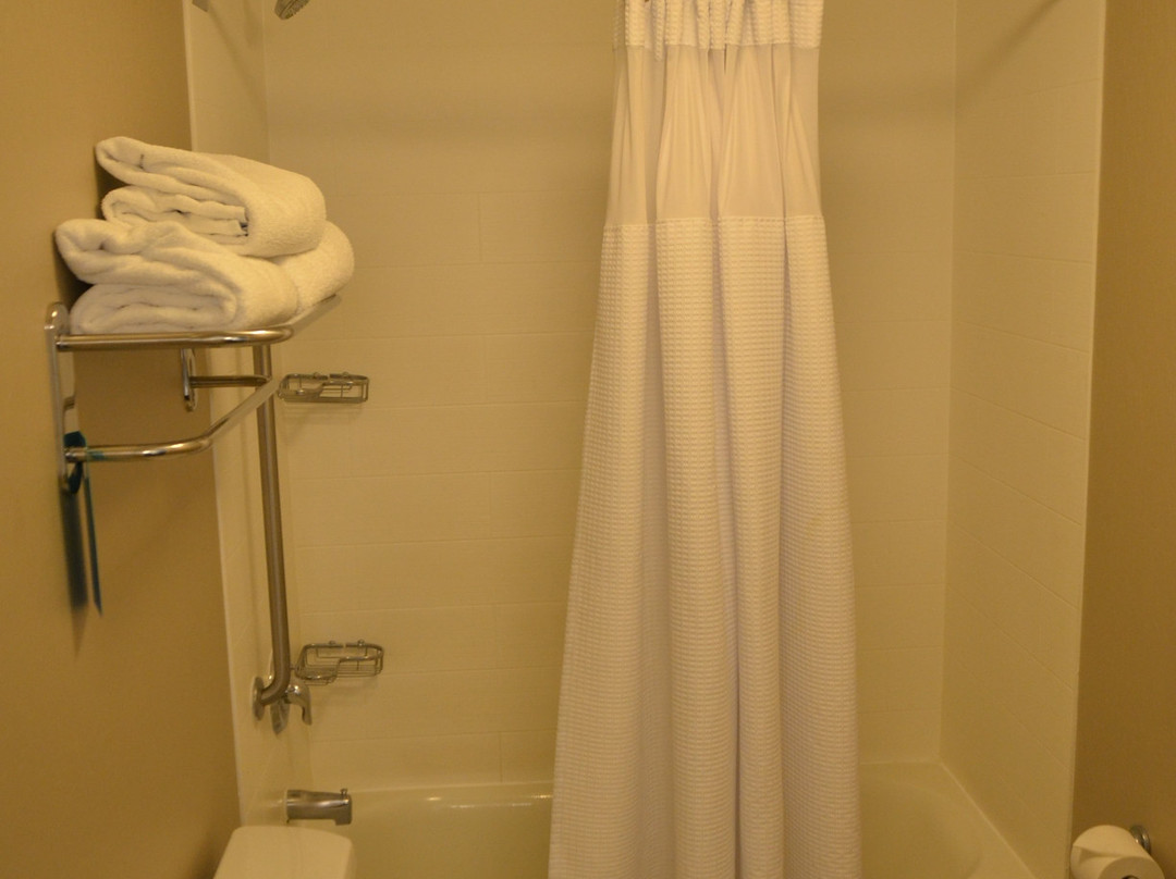 SpringHill Suites by Marriott Madera主图