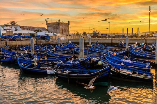 Kech adventures-马拉喀什必去景点