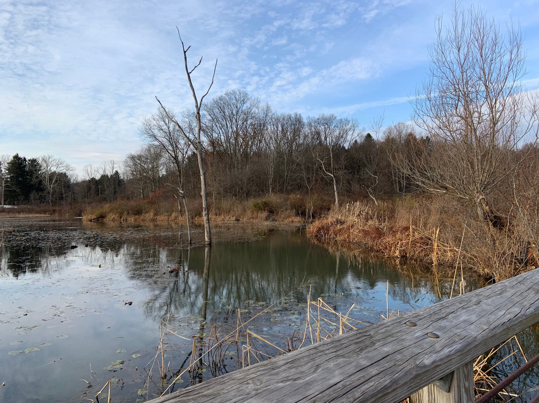 Beaver Marsh-Peninsula必去景点