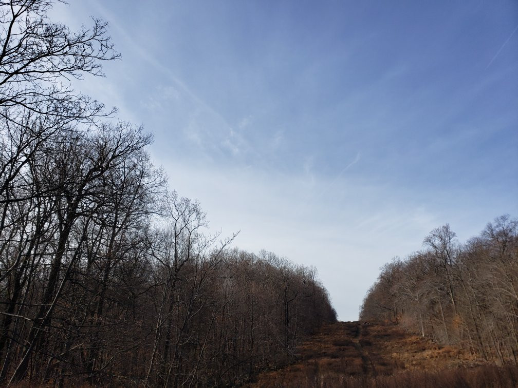 Sourland Mountain Preserve景点图片
