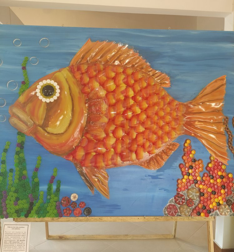 Museu Internacional do Surf-卡布弗里乌必去景点