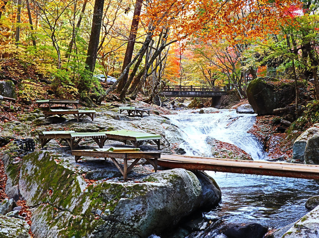 Kotarogafuchi-那须盐原市必去景点