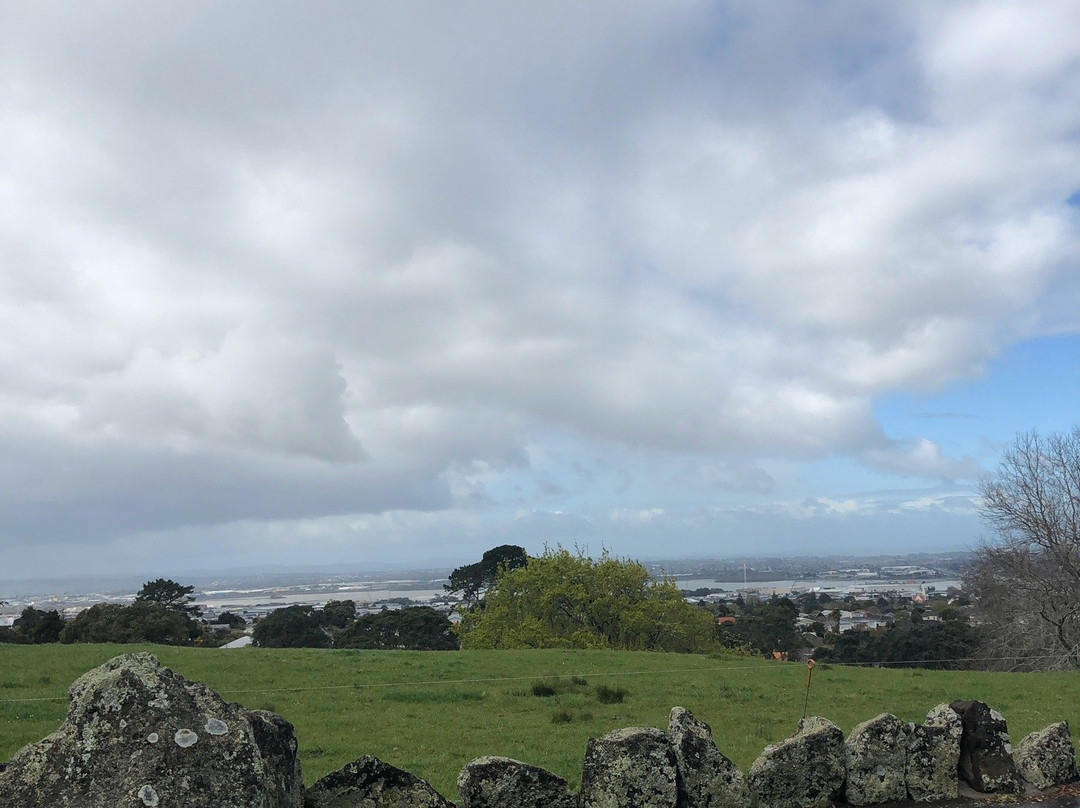 Point View Reserve-奥克兰中心地区必去景点