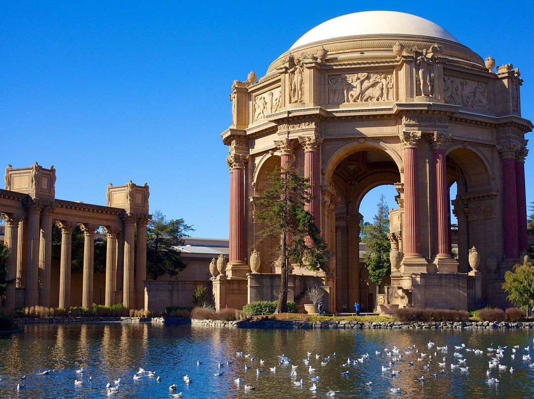 San Francisco Tour Co.-旧金山必去景点