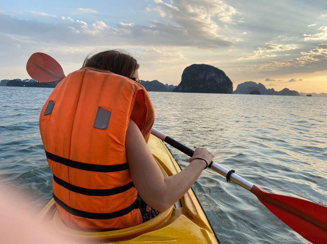 White Dolphin Cruises-河内必去景点
