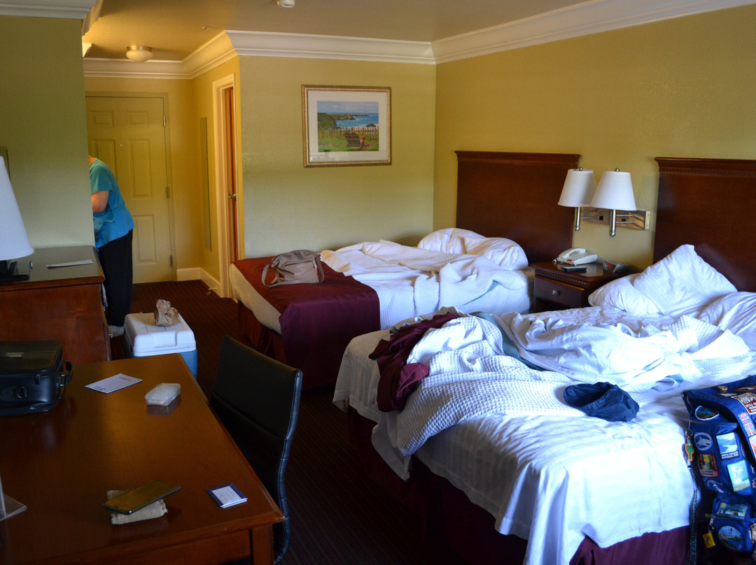 Best Western Willits Inn主图